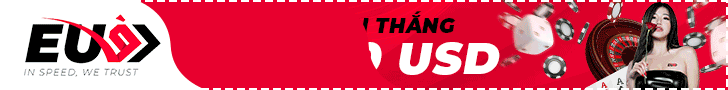 Banner alt